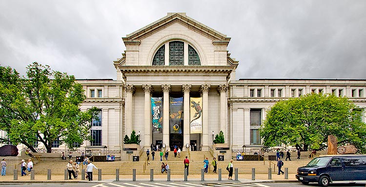 Natural-History_2256.jpg